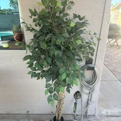 Artificial Ficus Tree