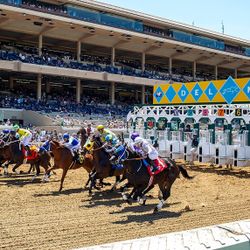 Del Mar Races - Pacific Classic - Box seats 