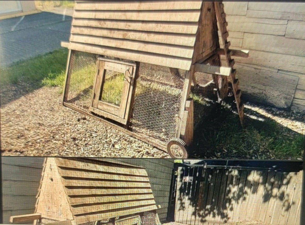 Chicken Coup/catio