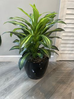 Artificial plant