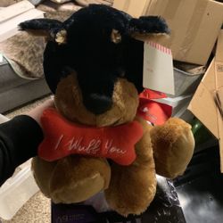 Valentine’s Day dog 