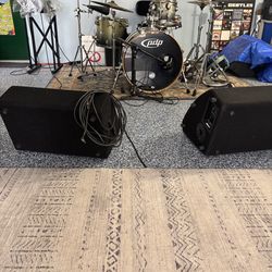 Peavey Monitors/Speakers