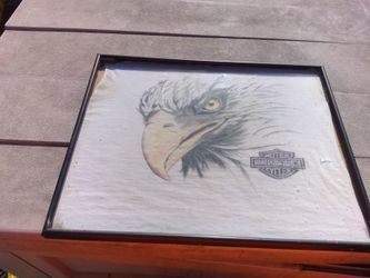 Harley Davidson stuff