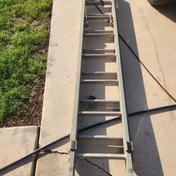 Ladder 16ft. Werner