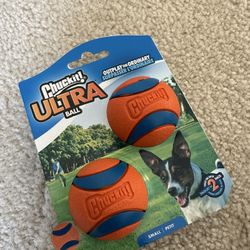 (2) Small Chuck It Ultra Balls