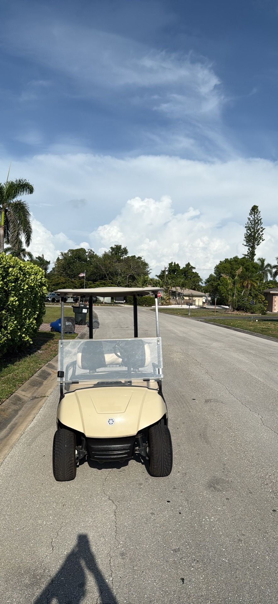 New Batteries-2014 Yamaha Golf Cart