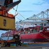 New Global Export & Import