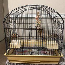 Bird Cage $40