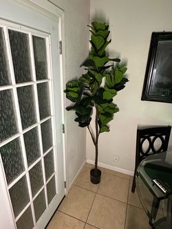 Large Artificial Fiddle Leaf Fig Tree Lyrse Brand