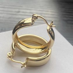 14k gold plated  earrings