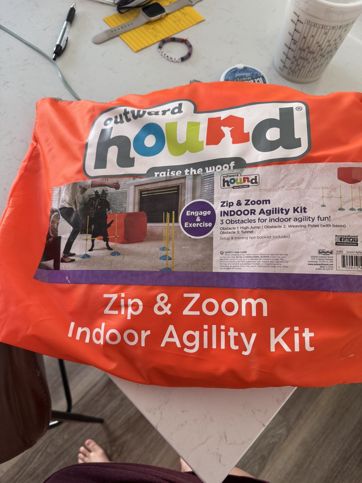 Indoor Agility Kit For Dogs 🐕 