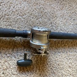 Diawa Saltiest 30 Penn Pro Sabre 30-80 Rod