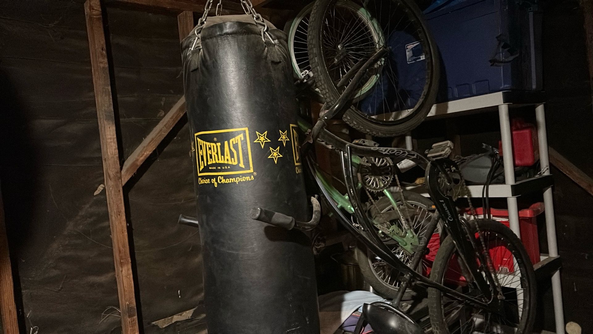 large punching bag