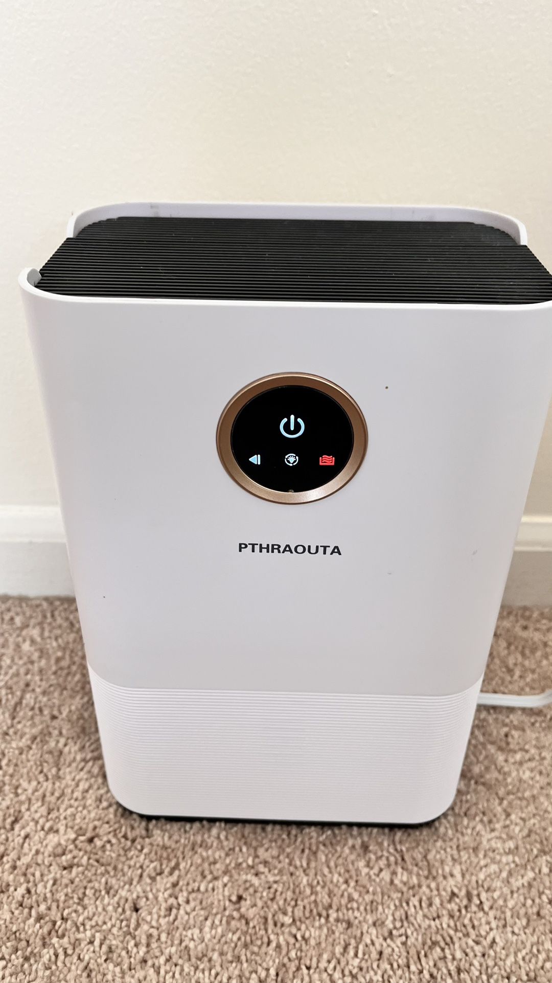 Small Multi-functional Dehumidifier