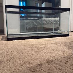 55 Gallon Fish Tank With Rocks