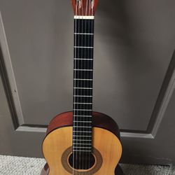 Hohner 3/4 Size Acoustic Guitar