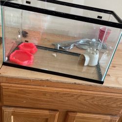 10 Gallon Tank 