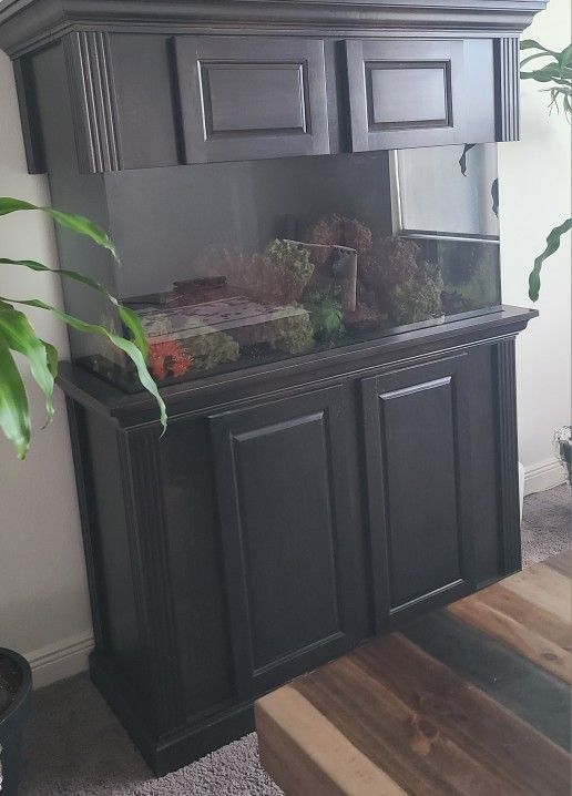 Fish Tank