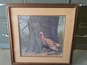 Turkey prints