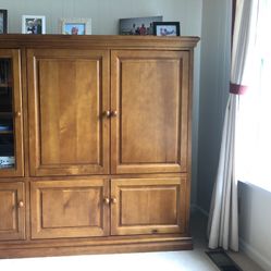 Living Room/Family Room /TV Cabinet