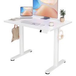 Stand Up Desk 