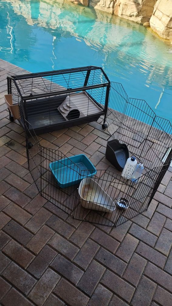 Pet cage with play pen and more