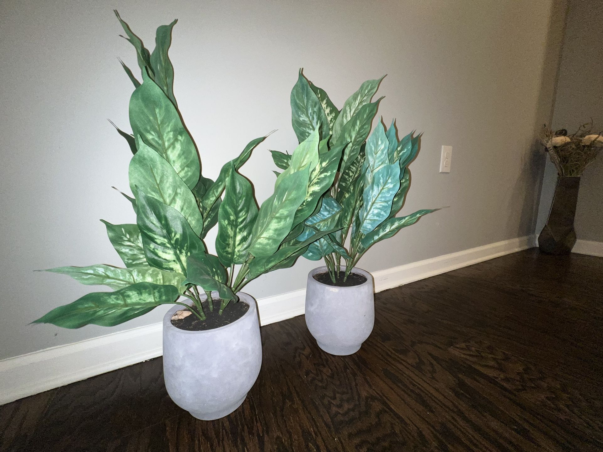 2 Fake Plants