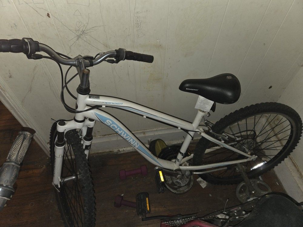 Schwinn 20 Inch