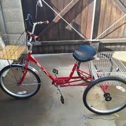 Sun bicycles 2025 traditional trike 24