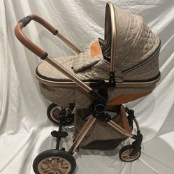 BEBECOSY Two Way Push Carriage/Stroller