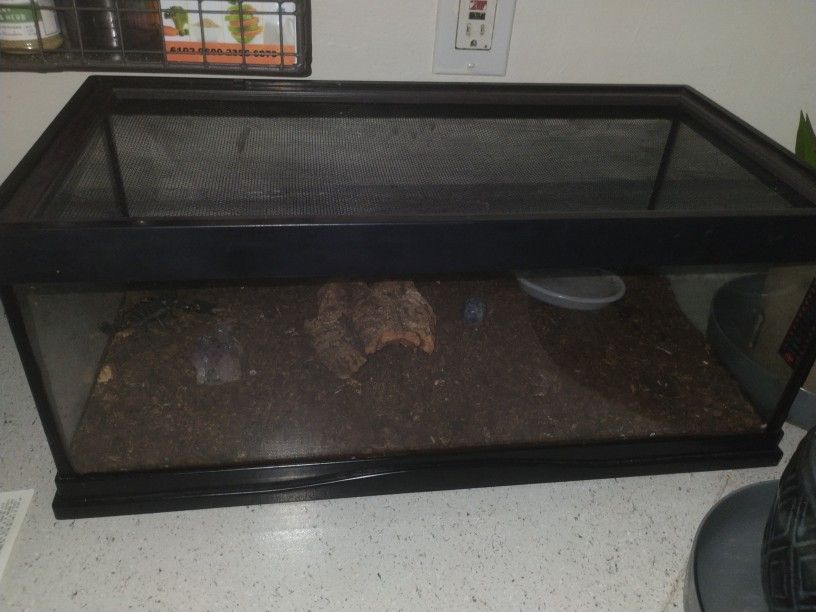 🦂/Terrarium Set Up 