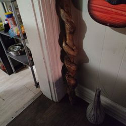6 Ft 10 Inches Around The Perfect Piece Of Wood For That Exotic Animal Or That Wood Master Looking To Carve Out The Next Master Peice 
