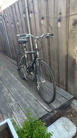 Trek Bike