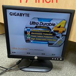 17" computer monitor
