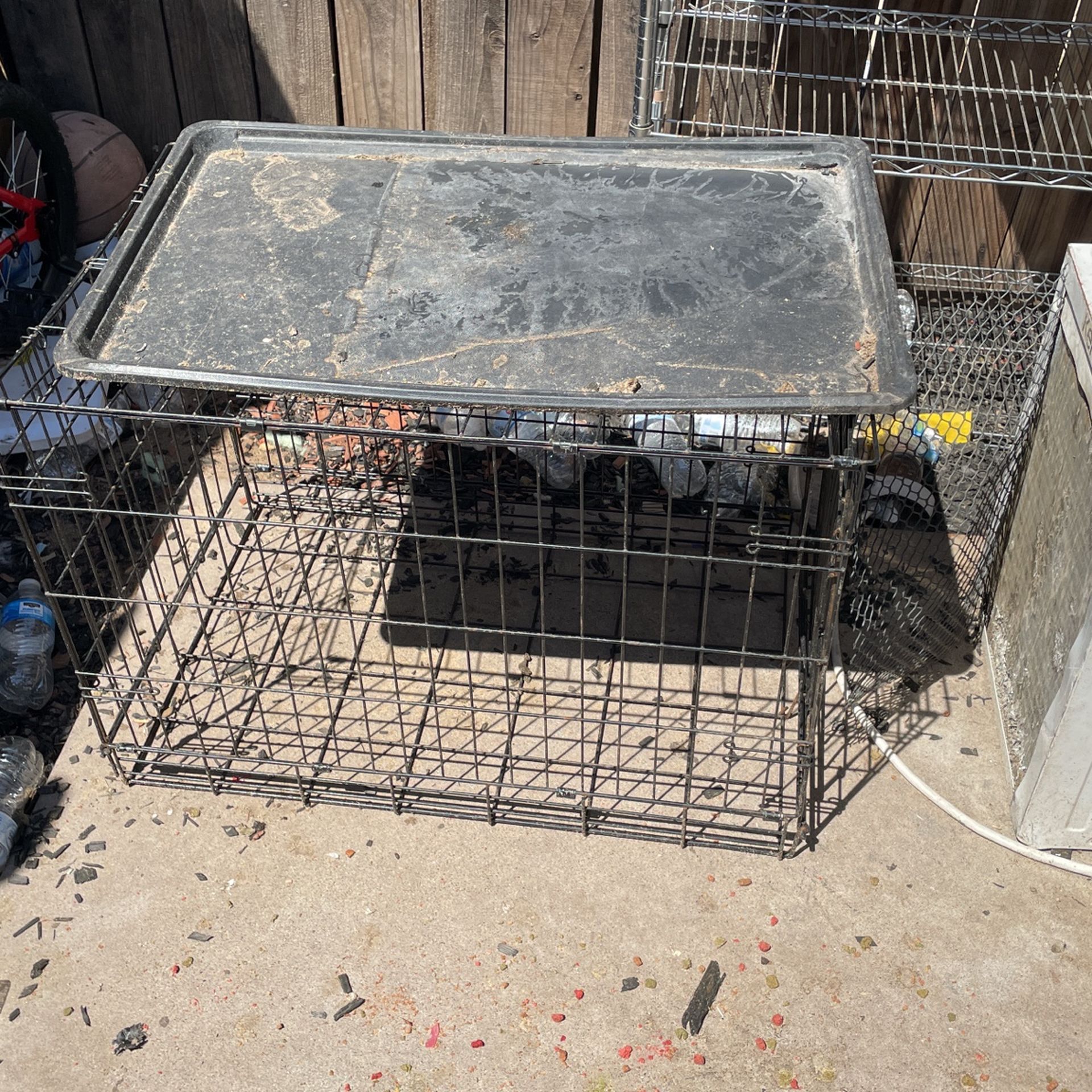 Dog Kennel
