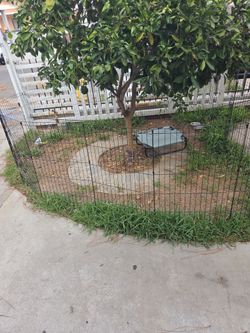 Black Wire Pet Playpen Fence Panel