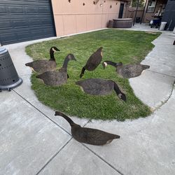 Vintage Johnson’s folding goose decoys