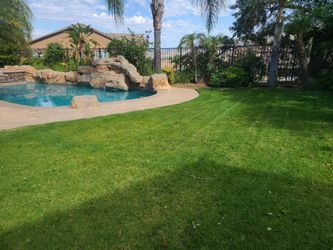 Sprynkler And Maintenance 