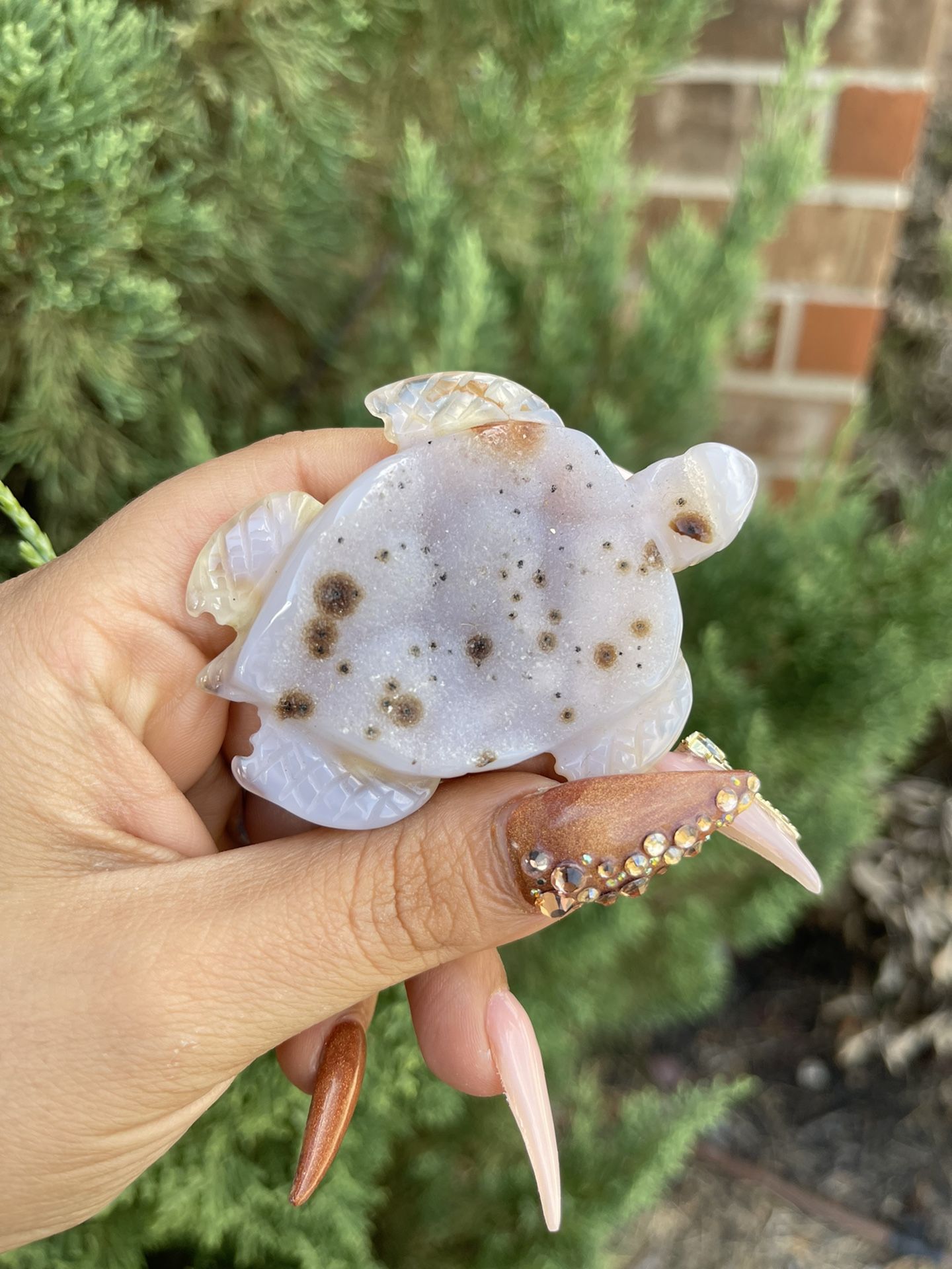 Druzy Agate Turtle 