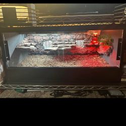 Reptile Enclosure 