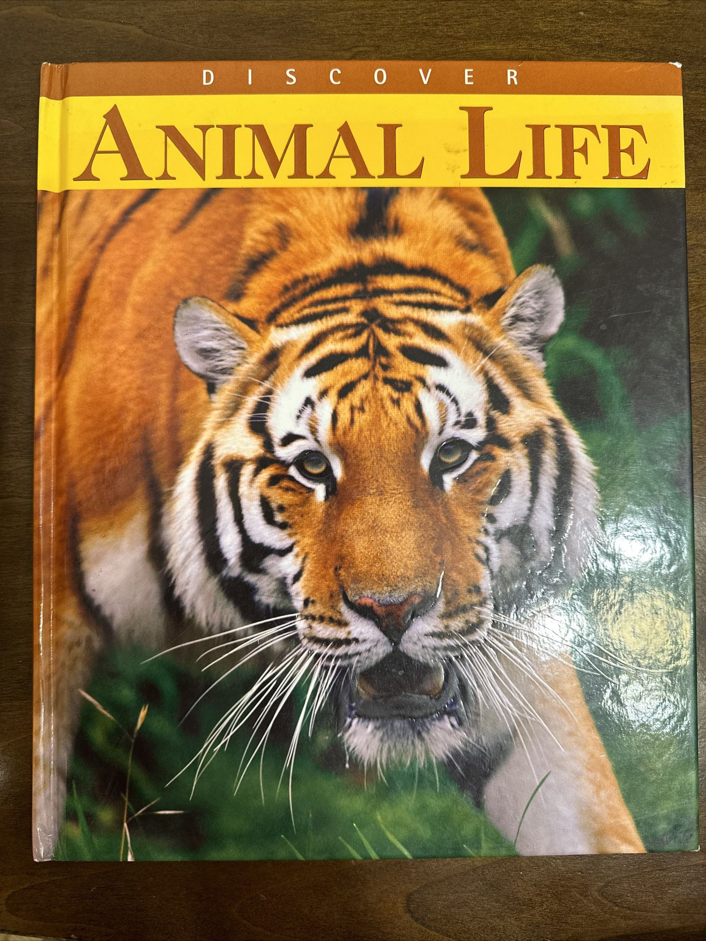 Discover Animal Life by Lynne Hardie Baptista Hardcover
