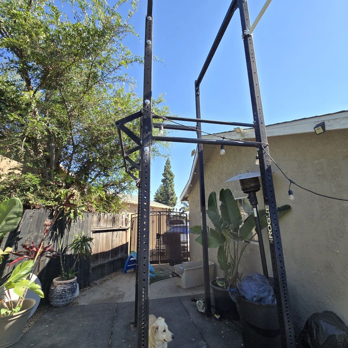 Rogue v2 Castro Rig for Sale in Garden Grove CA OfferUp