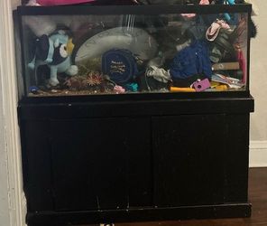 55 gallon fish tank and stand