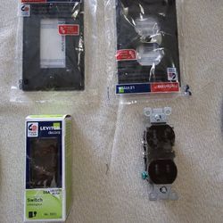 Brown Light Switch And Outlet With Faces