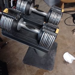 Golds Adjustable Weights 