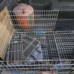 Free Guinea Pig Cage 