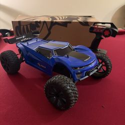 Piranha Redcat Rc Car