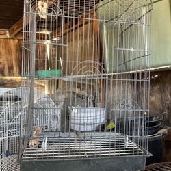Bird Cage / Jaula 