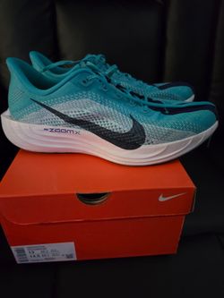 Nike Pegasus Plus size 13