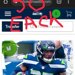 Seahawks Game